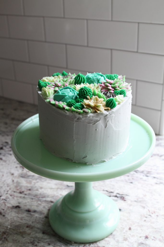 succulent cake